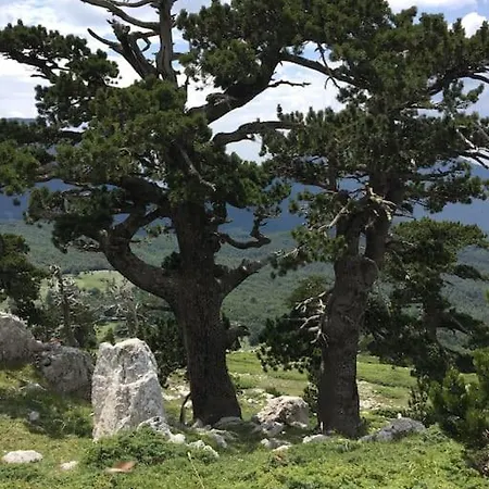 Casa Oleandro * サン・セヴェリーノ・ルカーノ