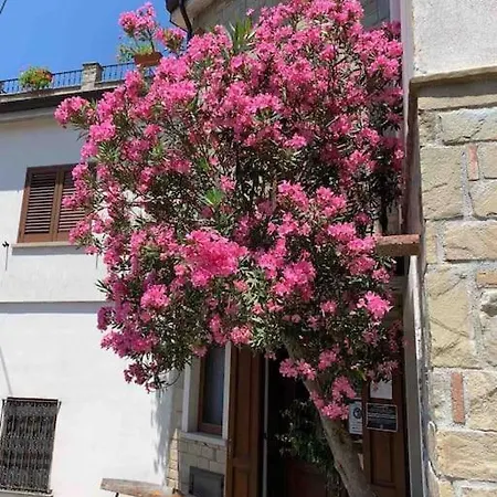 דירה Casa Oleandro