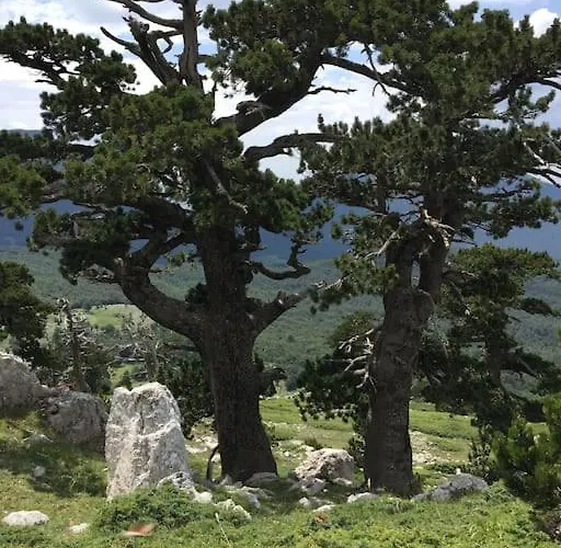 Casa Oleandro * San Severino Lucano